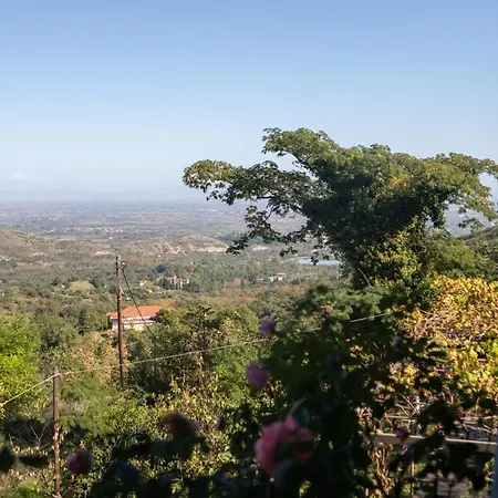 Seasons * Agios Athanasios (Karditsa)