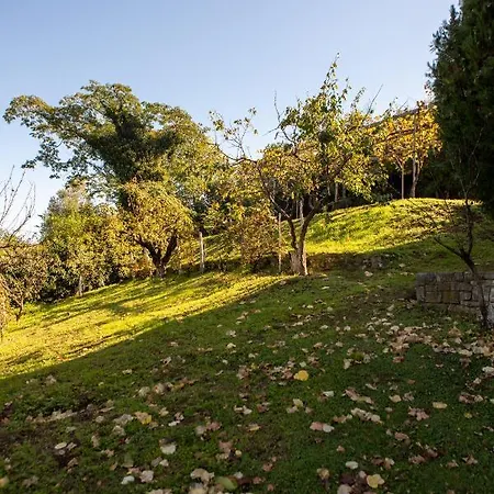 Seasons * Agios Athanasios (Karditsa)